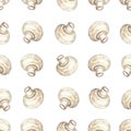 Watercolor champignon seamless pattern on white background. Mushroom print