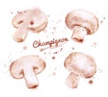 Watercolor champignons. Royalty Free Stock Photo