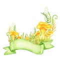 Watercolor Chanterelle Mushroom with grass, ribbon banner hand drawn illustration isolated on white background. Edible