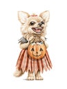 Watercolor character funny chihuahua puppy in halloween dress werewolf with pumpkin candy bucket