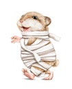 Watercolor character funny hamster in halloween mummy costume goes wrapped in bandages