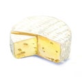 Watercolor cheese brie on a white background