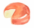 watercolor cheese.