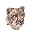 Watercolor cheetah animal