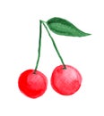 Watercolor cherries with green leaf