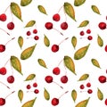 Watercolor cherries with leaves on a white background.