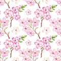 Watercolor apple cherry blossom pattern Royalty Free Stock Photo