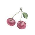 Watercolor cherry. Hand-drawn watercolor illustration of two red berries of a cherry on a green twig with a leaf Royalty Free Stock Photo