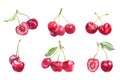 Watercolor cherry illustration. Hand drawn cherries set. Fresh sweet and tasty cherries. Watercolor botanical painting