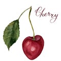 Watercolor cherry with leaf and lettering Royalty Free Stock Photo