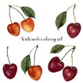 Watercolor cherry set. Hand painted food illustration with berries and leaves isolated on white background. Botanical Royalty Free Stock Photo