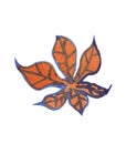Watercolor chestnut leaf in orange and blue colors. In Scandinavian style.Orange and blue colors