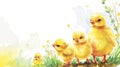 Watercolor Chick in Spring. Four chicks amidst spring flora in watercolor Royalty Free Stock Photo