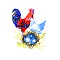 Watercolor chicken family - hen, rooster, chicken. Hand painted illustration Royalty Free Stock Photo