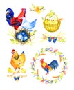 Watercolor chicken family - hen, rooster, chicken. Hand painted illustration