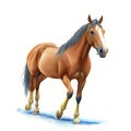 Watercolor Children Book Illustrations, Beautiful brown horse walking with white background, created with Generative AI