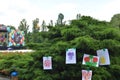 Watercolor children`s painting hanging on tree in park