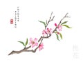 Watercolor Chinese ink paint art illustration nature plant from The Book of Songs peach blossom. Translation for the Chinese word