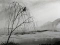 Watercolor chinese ink painting asian landscape mountain fog mystery crow sitting on a willow tree.