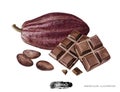 Watercolor chocolate bar cococa fruit and beans composition isolated on white background.