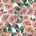 Watercolor roses with leaves. Illustration for decor.