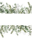 Watercolor Christmas banner with fir and eucalyptus branches. Hand painted holiday plants isolated on white background Royalty Free Stock Photo