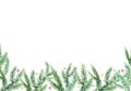 Watercolor Christmas banner with green fir branches composition. Design illustration for greeting cards, frames, invitations templ