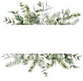 Watercolor Christmas border with fir and eucalyptus branches. Hand painted holiday plants isolated on white background
