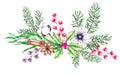 Watercolor Christmas botanical composition of cotton flowers, pine needles, anemones, cinnamon, star anise