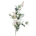 Watercolor Christmas bouquet of dried flowers with eucalyptus, lagurus, blue Thistle and cotton. Hand painted holiday