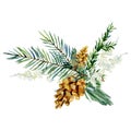 Watercolor Christmas bouquet with fir branches, leaves, pine cone, pampas grass. Bohemian winter greenery banner  for christmas Royalty Free Stock Photo