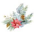 Watercolor Christmas bouquet with fir branches, poinsettia, wild flower, pine cone. Winter floral greenery blue banner Royalty Free Stock Photo