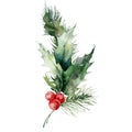 Watercolor Christmas bouquet of pine branch, red berries and leaves. Hand painted holiday composition of plants isolated
