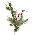 Watercolor Christmas bouquet of pine branches, alder and red berries. Hand painted greenery isolated on white background