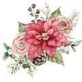 Watercolor christmas bouquet with red poinsettia, pink roses and pine cones. Hand painted flowers, leaves and Royalty Free Stock Photo