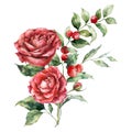 Watercolor Christmas bouquet of red rose, branch, berries and leaves. Hand painted holiday composition of flowers and