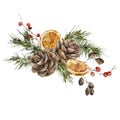 Watercolor Christmas bouquet of spruce branches, lemon slices and pine cones. Hand painted winter plants isolated on