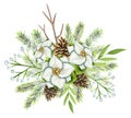 Watercolor Christmas bouquet with spruce, pinecones,white flower