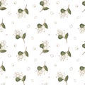 Watercolor christmas branches and snowberry pattern on white background Royalty Free Stock Photo