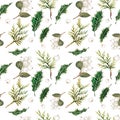 Watercolor christmas branches and snowberry pattern on white background Royalty Free Stock Photo