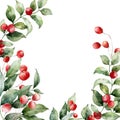 Watercolor Christmas card of red berries, leaves and branches. Hand painted winter plant isolated on white background