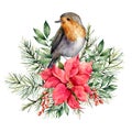 Watercolor Christmas card with robin and floral decor. Hand painted bird, poinsettia, berries, fir and eucalyptus