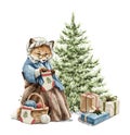 Watercolor Christmas cartoon fox in clothes knits Christmas socks near the tree Royalty Free Stock Photo