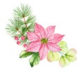 Watercolor Christmas composition. Transparent poinsettia flowers, eucalyptus leaves, pine tree branches. Hand painted