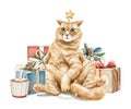 Watercolor Christmas confused cat kitten character with present gift boxes Royalty Free Stock Photo