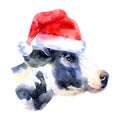 Watercolor Christmas cow portrait illustration. Painted isolated cow with santa hat on white background