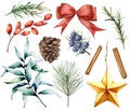 Watercolor Christmas decor set. Hand painted fir branches, eucalyptus leaves, barberry, star, fir cone, cinnamon