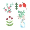 Watercolor Christmas decorations set with fir branches. berries, and Christmas tree. Illustration for holiday design isolated on a Royalty Free Stock Photo
