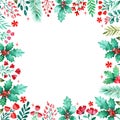 Christmas Foliage Square Border with Holly, Pine Needles, Berries and Red Flowers Royalty Free Stock Photo