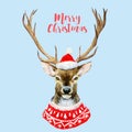 Watercolor christmas deer Royalty Free Stock Photo